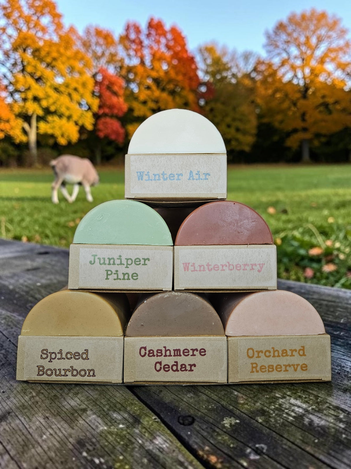 Winter Scents Signature Bar Gift Set Jax Soap Company