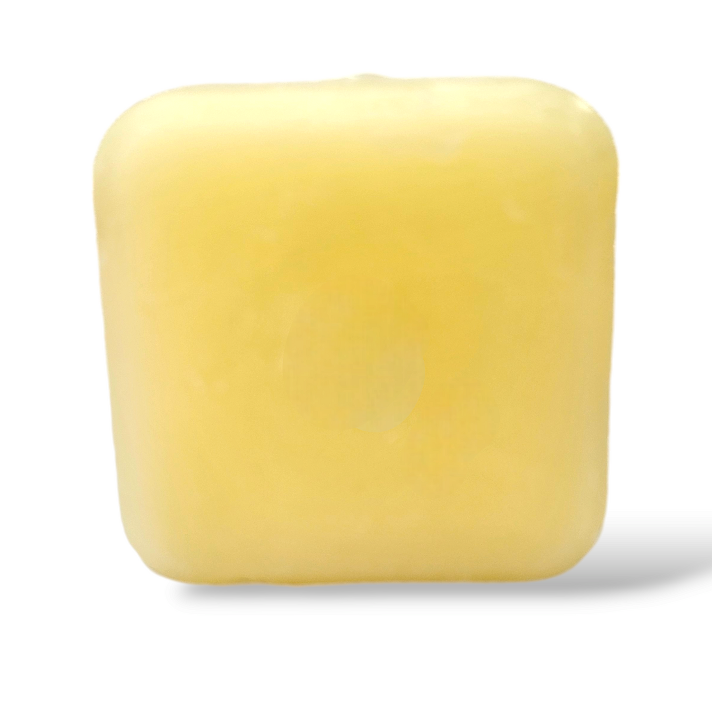 Conditioner Bars Shampoo & Conditioner Jax Soap Company   