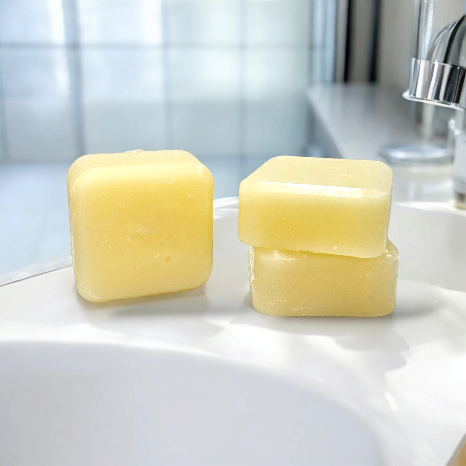 Conditioner Bars Shampoo & Conditioner Jax Soap Company   